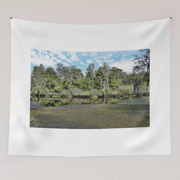 Item preview, Hillsborough River 1 - Florida designed and sold by jtrommer.