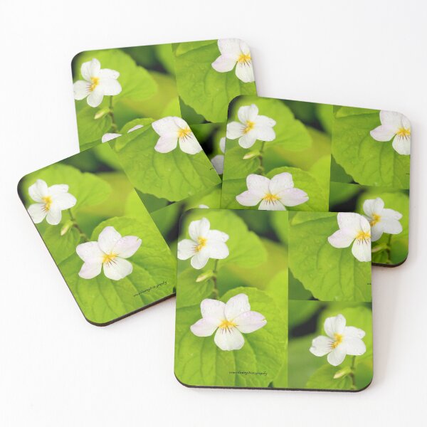 Item preview, Tiny White Wild Flowers designed and sold by DawnFyfePhotos.
