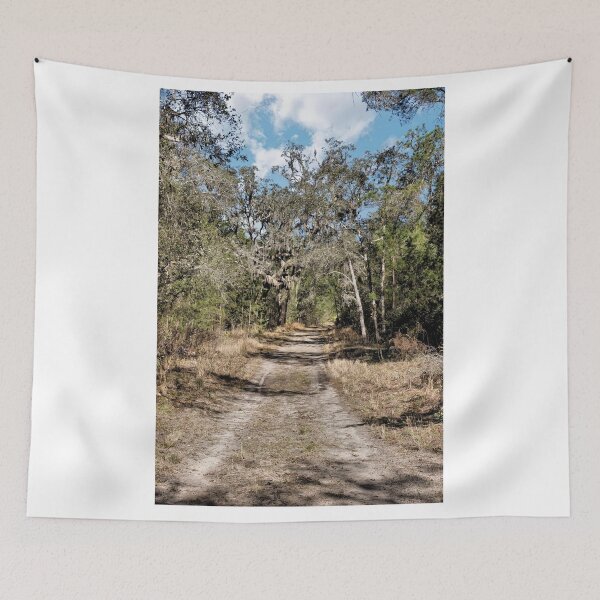 Item preview, Forest Road 1 - Florida designed and sold by jtrommer.
