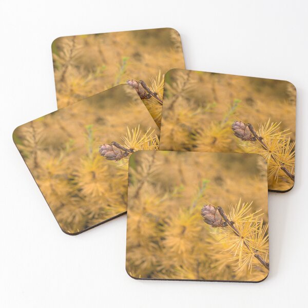 Item preview, Tamarack in Fall designed and sold by mahnkephotos.
