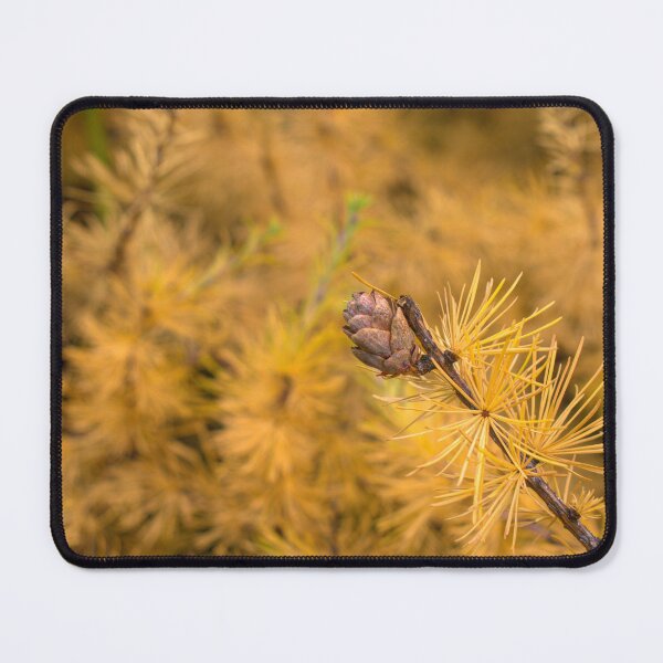 Item preview, Tamarack in Fall designed and sold by mahnkephotos.