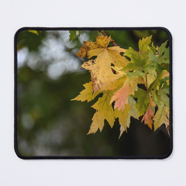 Item preview, Gold of Fall designed and sold by SRosuphotos.