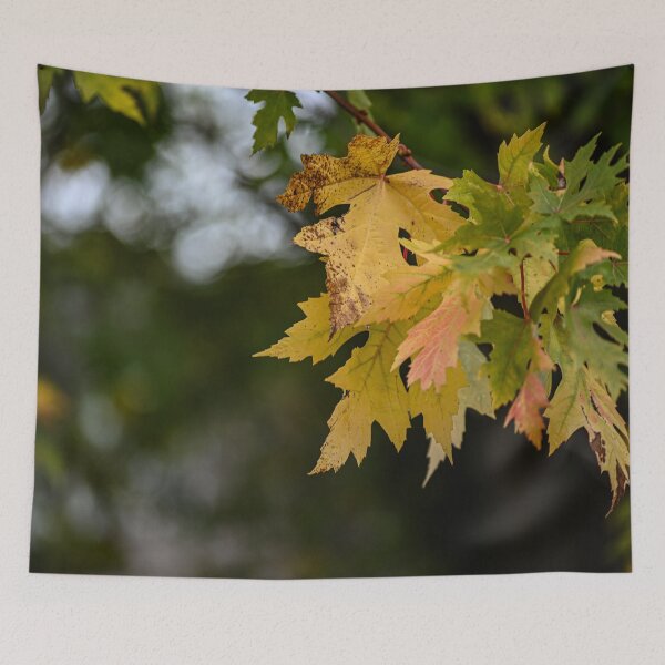 Item preview, Gold of Fall designed and sold by SRosuphotos.