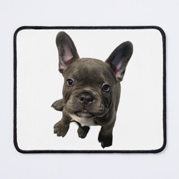 Item preview, French Bulldog designed and sold by drowndeep.