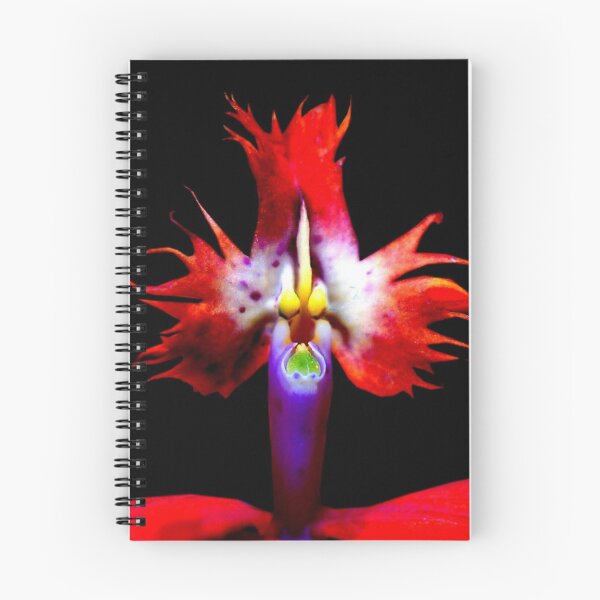 Item preview, Fowl Mouthed - Orchid Alien Discovery designed and sold by Ashley Cooke.