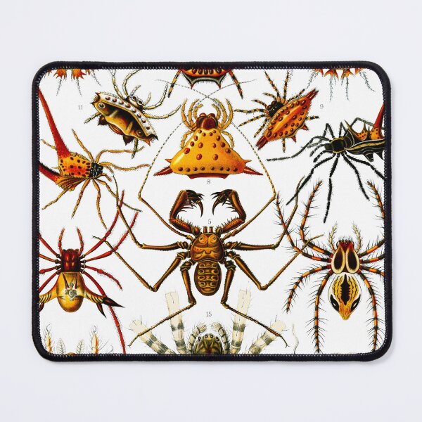 Item preview, Haeckel Arachnida Spiders  designed and sold by TeeARTHY.