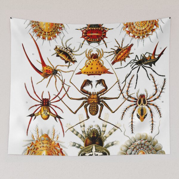 Item preview, Haeckel Arachnida Spiders  designed and sold by TeeARTHY.