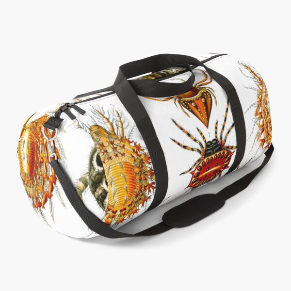 Item preview, Haeckel Arachnida Spiders  designed and sold by TeeARTHY.