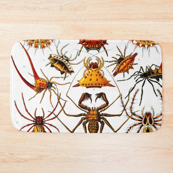 Item preview, Haeckel Arachnida Spiders  designed and sold by TeeARTHY.