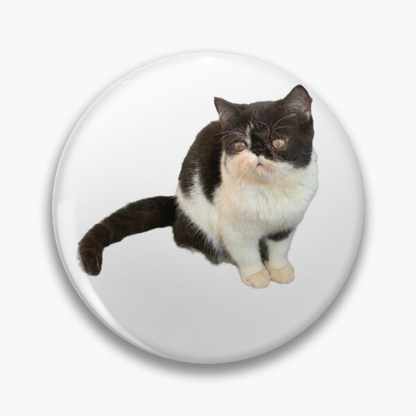Item preview, Black & White Kitten designed and sold by drowndeep.