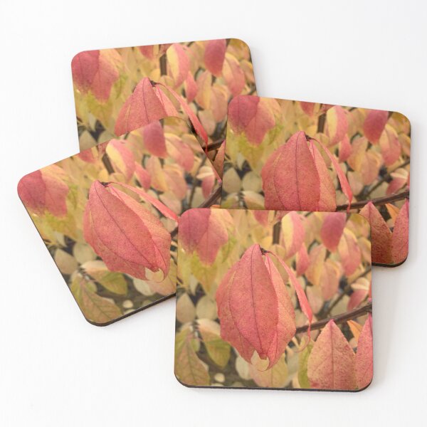Item preview, Burning Bush plant  designed and sold by Cruzmissile22.