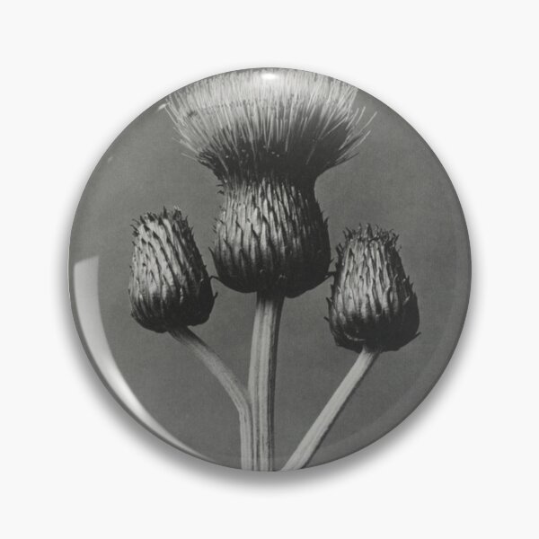 Item preview, Queen Anne Thistle designed and sold by BlueSpecsStudio.
