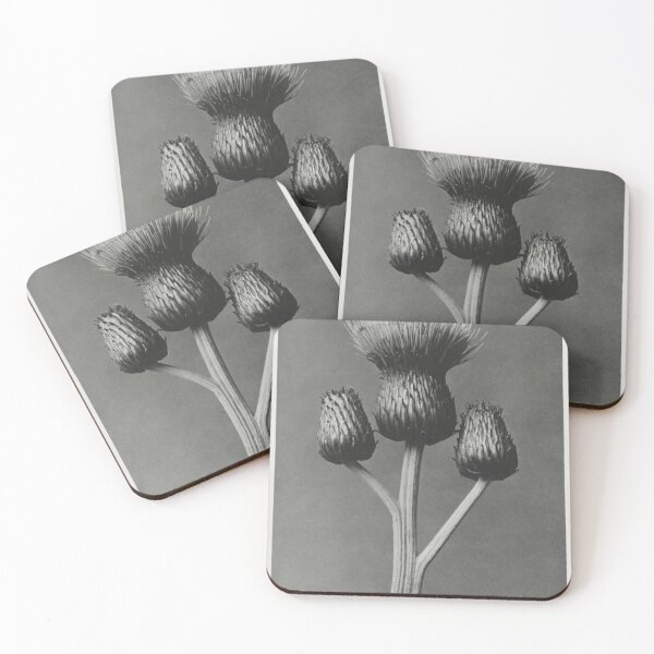 Item preview, Queen Anne Thistle designed and sold by BlueSpecsStudio.