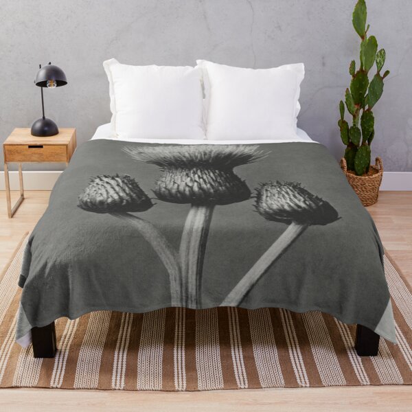 Item preview, Queen Anne Thistle designed and sold by BlueSpecsStudio.