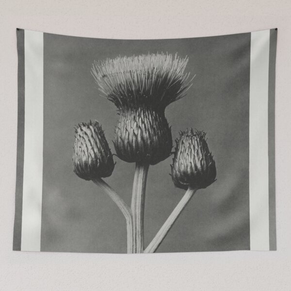 Item preview, Queen Anne Thistle designed and sold by BlueSpecsStudio.