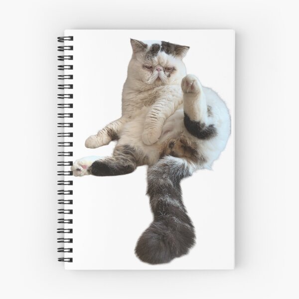 Item preview, You Like - Cat? designed and sold by drowndeep.