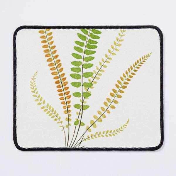 Item preview, Maidenhair Spleenwort Fern designed and sold by BlueSpecsStudio.