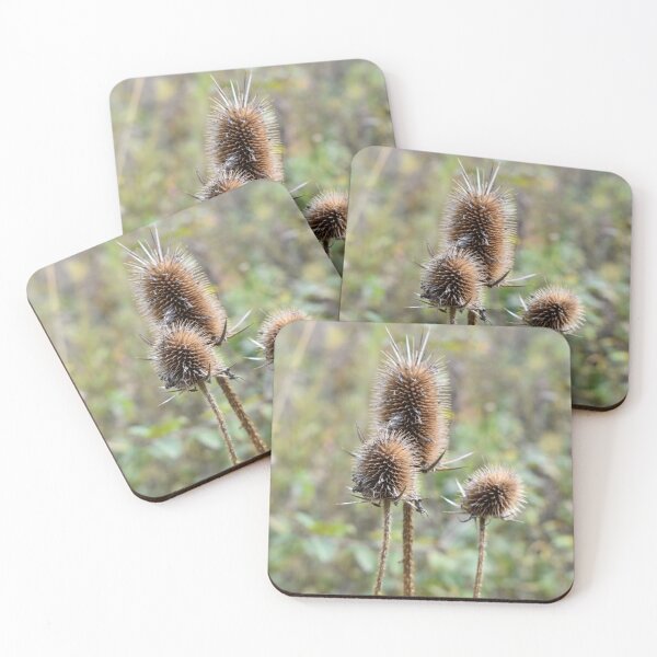Item preview, Autumn Gone to Seed designed and sold by Kathleen Brant.