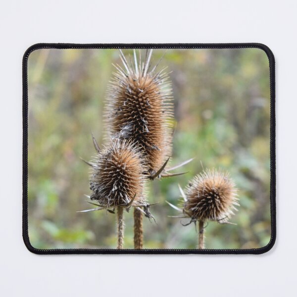 Item preview, Autumn Gone to Seed designed and sold by Kathleen Brant.