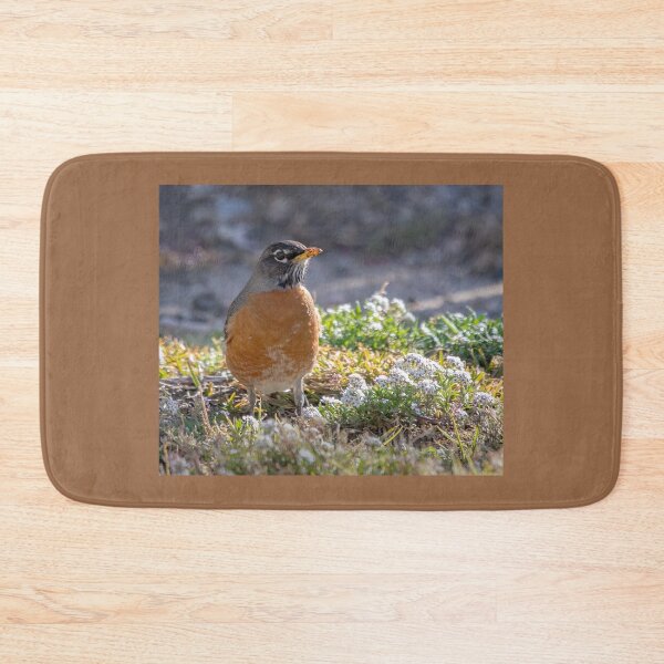 Item preview, American Robin designed and sold by CarolM.