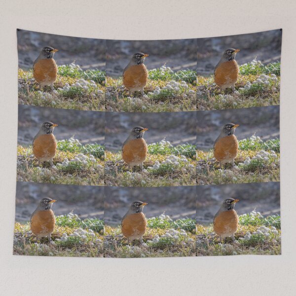 Item preview, American Robin designed and sold by CarolM.