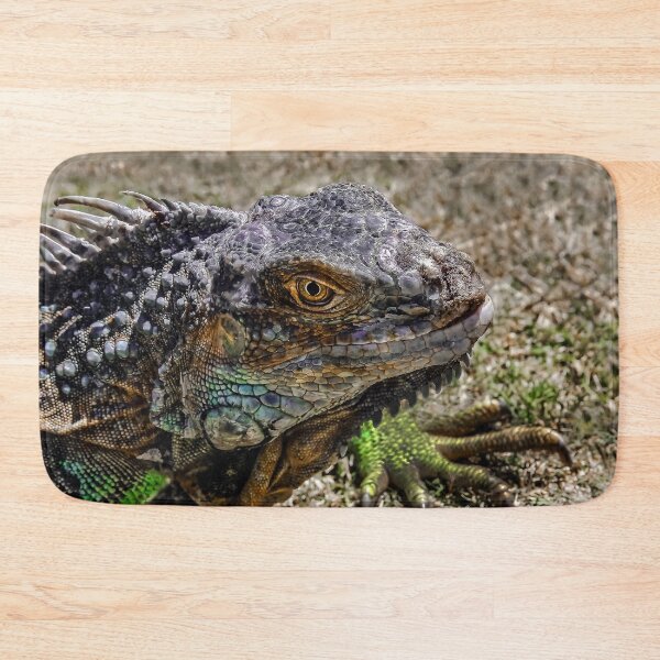 Item preview, Iggy in the Sunlight designed and sold by heatherfriedman.