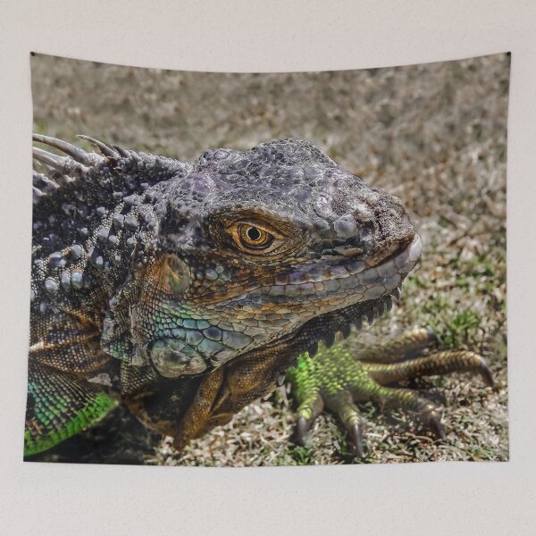 Item preview, Iggy in the Sunlight designed and sold by heatherfriedman.