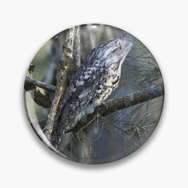 Item preview, Tawny Frogmouth camouflaged on a branch in a tree designed and sold by BirdsAlive.