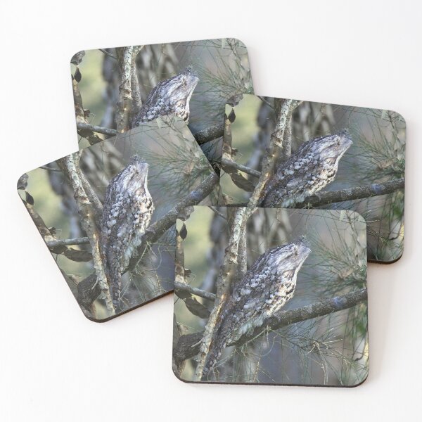 Item preview, Tawny Frogmouth camouflaged on a branch in a tree designed and sold by BirdsAlive.