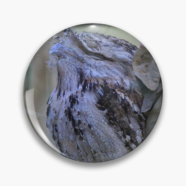 Item preview, Tawny Frogmouth perched on a tree designed and sold by BirdsAlive.