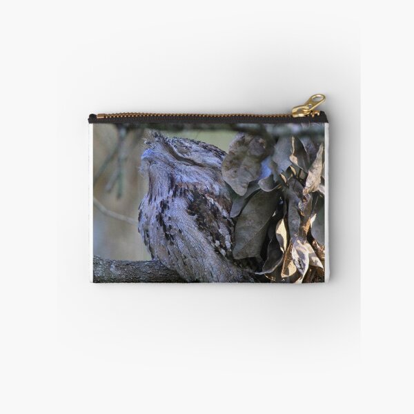 Item preview, Tawny Frogmouth perched on a tree designed and sold by BirdsAlive.