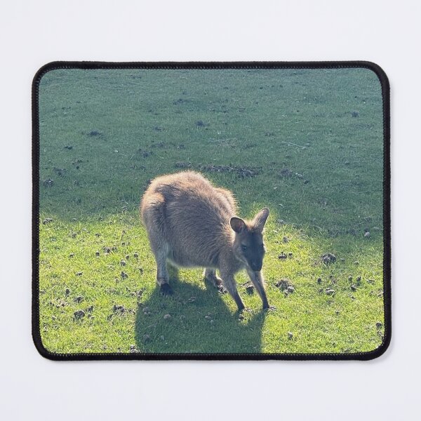 Item preview, small wallaby designed and sold by SnappedbyRivka.
