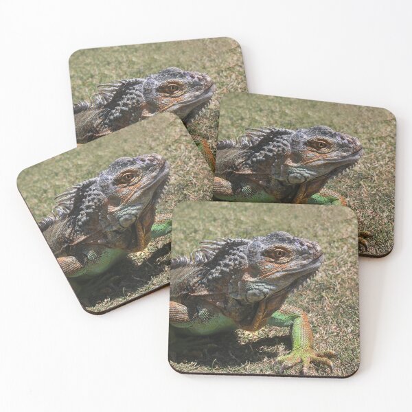 Item preview, Where's My Food? designed and sold by heatherfriedman.