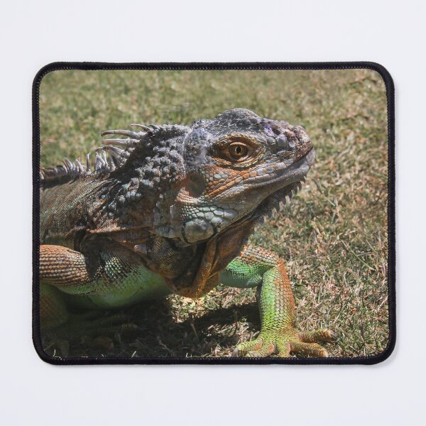 Item preview, Where's My Food? designed and sold by heatherfriedman.