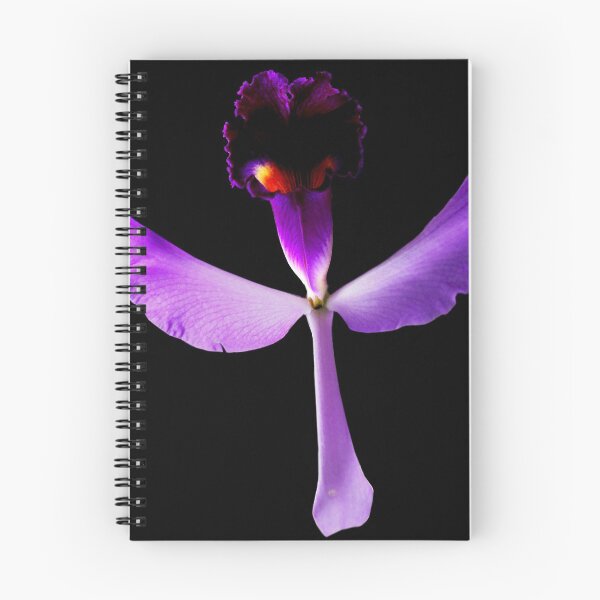 Item preview, Evil Eye - Orchid Alien Discovery designed and sold by Ashley Cooke.