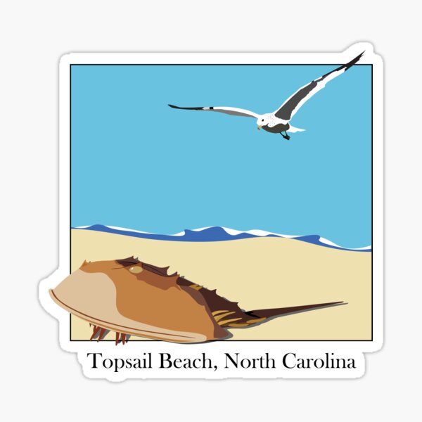 Item preview, Horseshoe Crab and Seagull Beach Design Topsail Beach, North Carolina Baskerville designed and sold by laughingwillows.