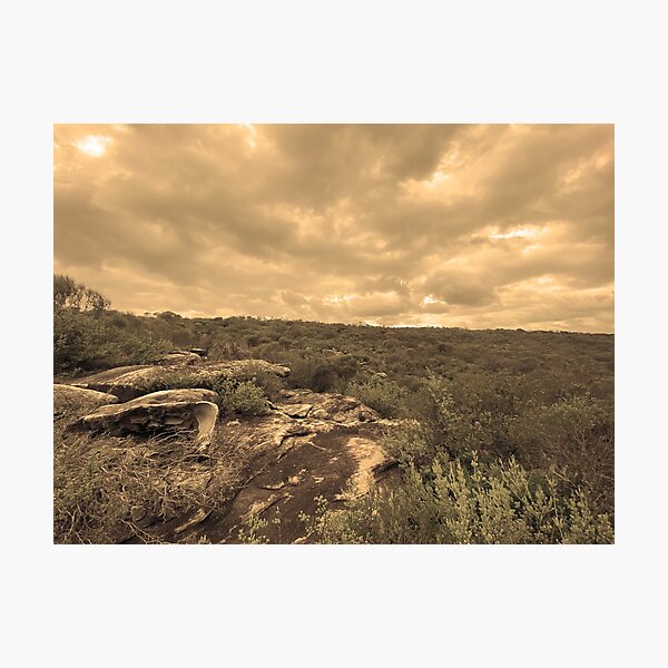 Item preview, Marley, Royal National Park designed and sold by Arcane Botanica.