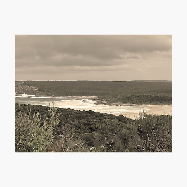 Item preview, Marley Beach, Royal NP designed and sold by Arcane Botanica.