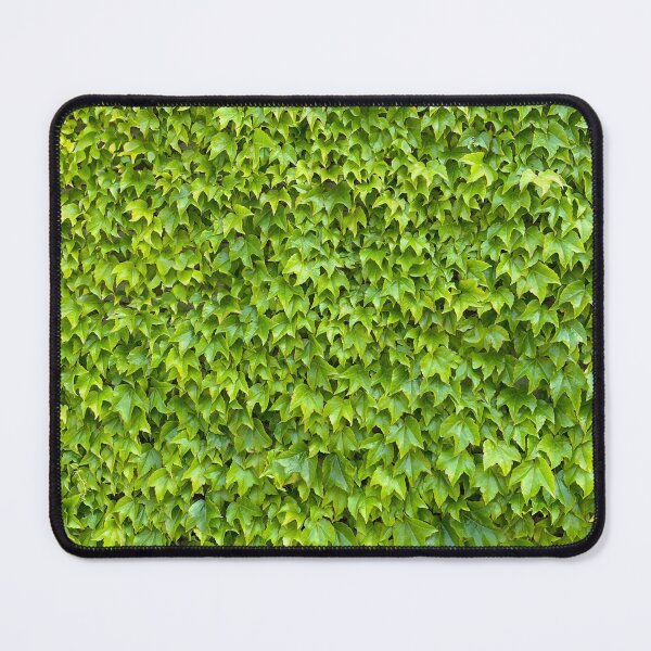 Item preview, English Ivy Plant designed and sold by NDMD.
