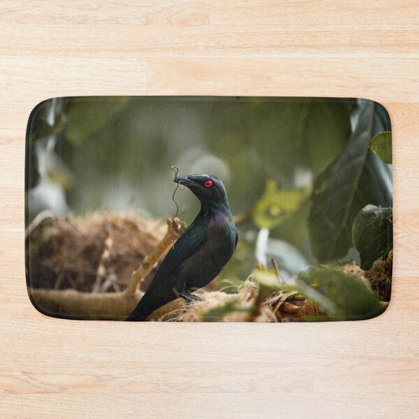 Item preview, Metallic Starling with Nest Material – Unique Bird Photography Print designed and sold by AvianAdventures.