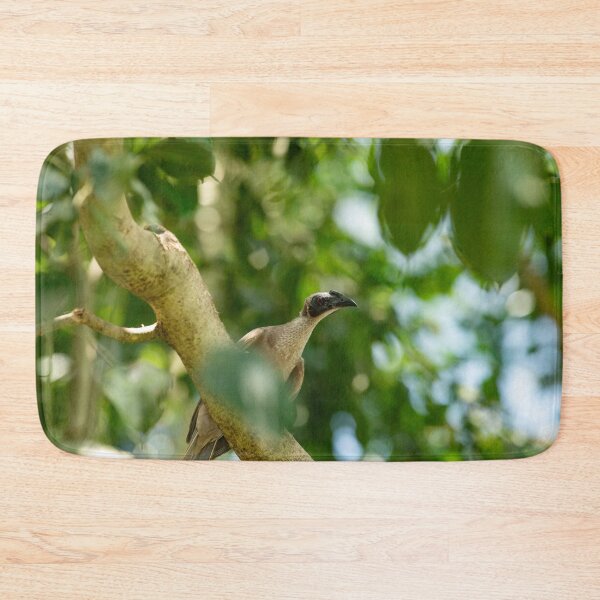 Item preview, Australian Friarbird in Rainforest – Unique Bird Photography Print designed and sold by AvianAdventures.