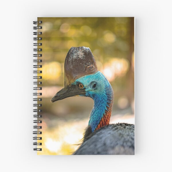 Item preview, Southern Cassowary Portrait – Vibrant Australian Wildlife Photography Print designed and sold by AvianAdventures.
