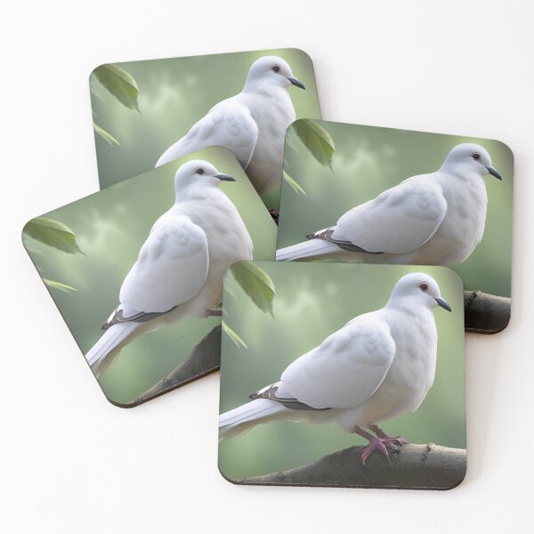 Item preview, white dove sits gracefully on a tree branch designed and sold by InezPhotography.