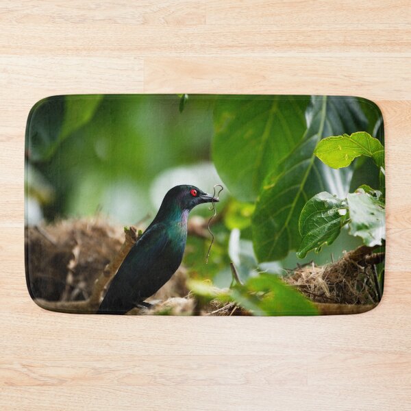 Item preview, Metallic Starling Nest Building – Unique Bird Photography Print designed and sold by AvianAdventures.