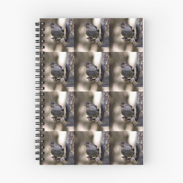 Item preview, chaffinch designed and sold by KathleenDawson.