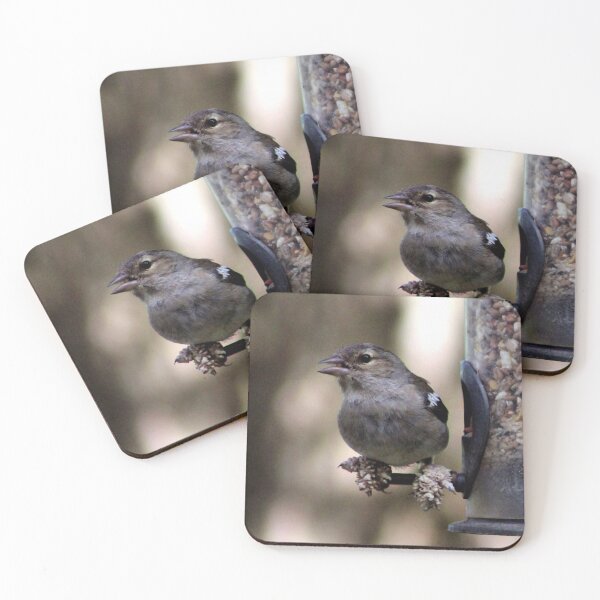 Item preview, chaffinch designed and sold by KathleenDawson.