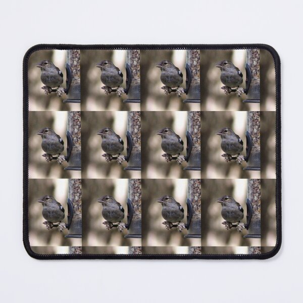 Item preview, chaffinch designed and sold by KathleenDawson.