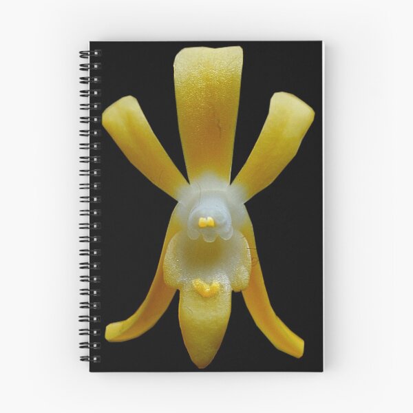 Item preview, Lemon Zest - Orchid Alien Discovery designed and sold by Ashley Cooke.