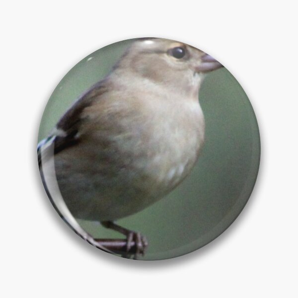 Item preview, chaffinch designed and sold by KathleenDawson.