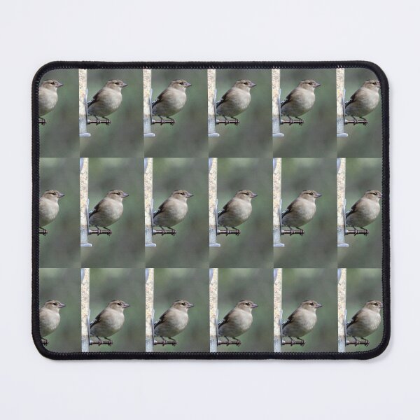 Item preview, chaffinch designed and sold by KathleenDawson.